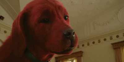 The biggest nobody in school - Clifford the Big Red Dog
