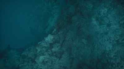 The biggest in the ocean. - Prehistoric Planet