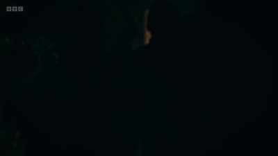 The bird is gone.
# Oh, my gosh - Mood