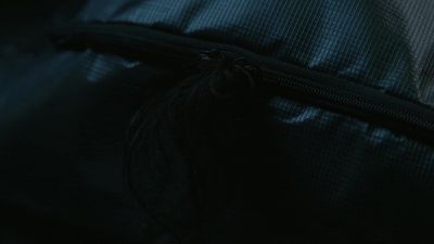 The bitch of it all is, - The Wilds