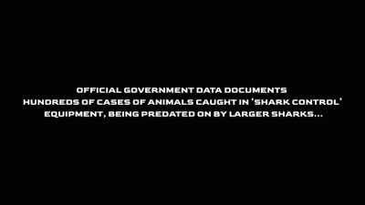 The Bligh government's
released photos - Envoy: Shark Cull