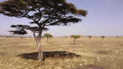 The blistering October days tick by, - Predators