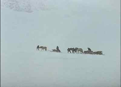 'The blizzard has lost us
five days already - Scott of the Antarctic