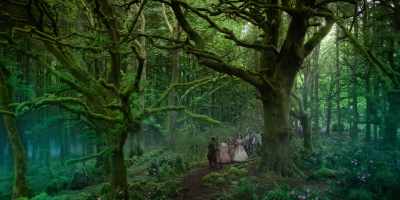 The Blue Forest prepares students
for any perils you may face. - The School for Good and Evil