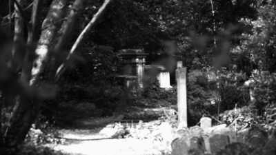 The bodies that they did exhume
from Dr Shipman - 35 Serial Killers the World Wants to Forget