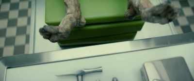 The body was drained of fluids,
eventually mummifying the body. - Journal 64