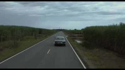 The body was found with
visible trauma to the head, - Burning Cane