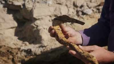 THE BONE COUNT'S
STARTING TO PILE UP. - Dino Hunters