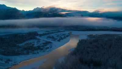 The boreal forest may be vast, - Our Planet
