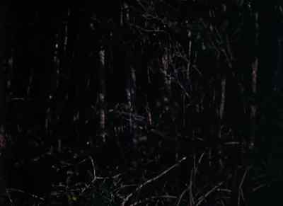The boss is waiting on you. - Wind Across the Everglades