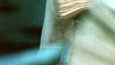 The Boston Traveler
newspaper series, - Alien Abduction: Betty and Barney Hill