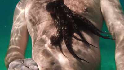 The boundaries between her and I
seemed to dissolve. - My Octopus Teacher