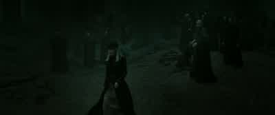 The boy. - Harry Potter and the Deathly Hallows: Part 2