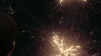 The brain is a very big
place in a very small space. - Cosmos: Possible Worlds