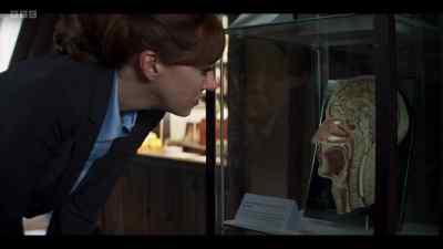 The brain doesn't
just tackle complex tasks - Cunk on Life