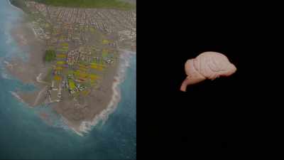 The brain and the city both
must function continuously - Cosmos: Possible Worlds
