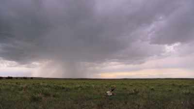 The buffalo was gone." - The American Buffalo