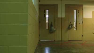 THE BUREAU OF PRISONS DIDN'T
HAVE ENOUGH PEOPLE WORKING, - Who Killed Jeffrey Epstein?