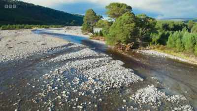 The Cairngorms Connect partnership
has a 200-year plan to restore - Wild Isles