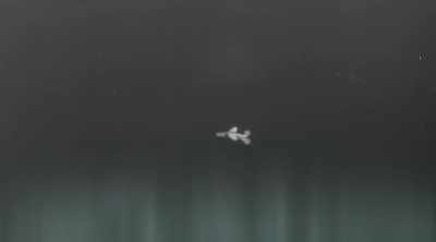 The so called
helicopter inscription - Strangest Things