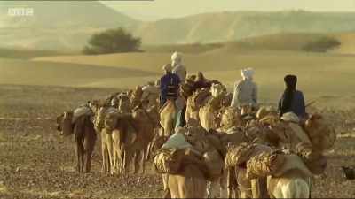 The camel, or dromedary, - Michael Palin: Travels of a Lifetime