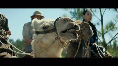 This is as far as they go. - Jumanji: The Next Level