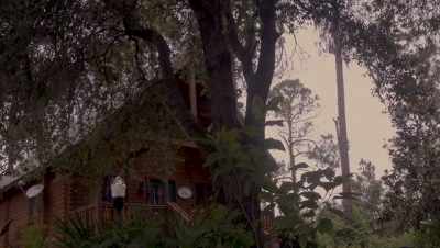 The camera lens and
the battery lights. - Into the Forest