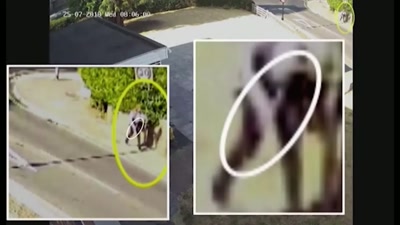 The camera had picked up
an important detail. - Killers: Caught on Camera