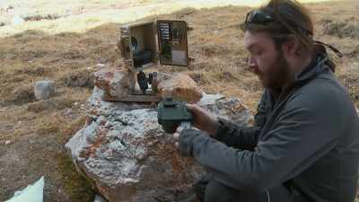 The camera traps were checked
and rechecked endlessly. - Ghost of the Mountains