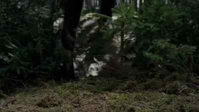 The captain made a mistake. - The Musketeers