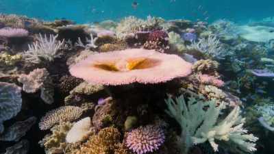 The carbon dioxide
that causes global warming - Our Planet