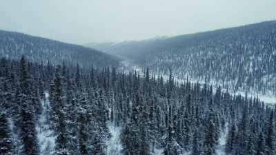 The caribou are probably in a
lower elevation so we're gonna - Life Below Zero: First Alaskans