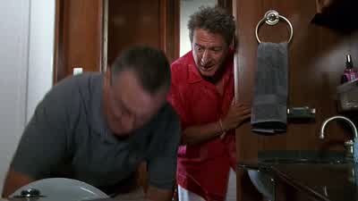 The cat can flush - Meet the Fockers