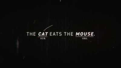 The cat is the subject, - Brainwashed: Sex-Camera-Power