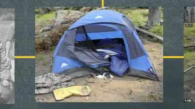 The cat wandered
back into the tent, - FBI TRUE