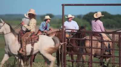 The cattle drive today
was a success, - How to Be a Cowboy