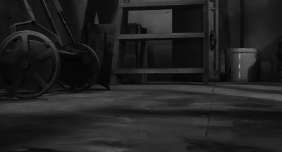 The cellar floor stretched before me like some vast primeval plain - The Incredible Shrinking Man