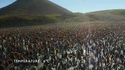 'The change in season - A Year on Planet Earth