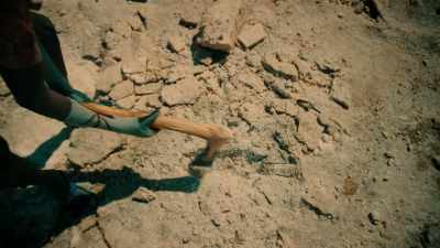 The changes may have pushed apes
to do things - One Strange Rock