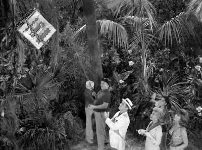 The chest falls and its
own weight will break - The Gilligan Manifesto