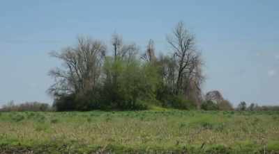 The Chickasawba
mound in Arkansas - Alien Worlds: Giants and Hybrids