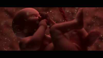  The child and the child will die tonight!  - Luciferina