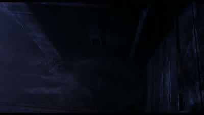 Listen to themThe children of the nightWhat sweet music they make - Bram Stoker's Dracula