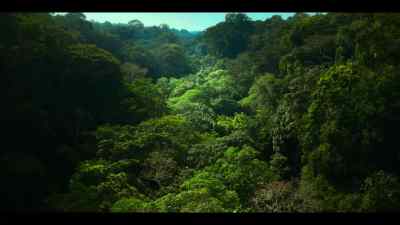 The chimps are heading to their northern border. - Chimp Empire