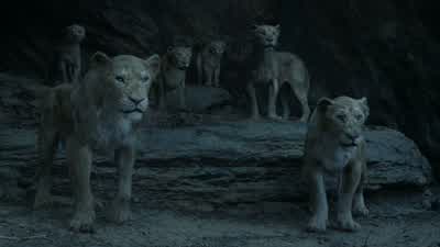 The choice is yours, Scar. - The Lion King