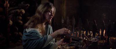 The Christmas wine is in the pot - The Lion in Winter