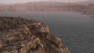 The cliff edge creates updrafts,
and they can help. - Prehistoric Planet