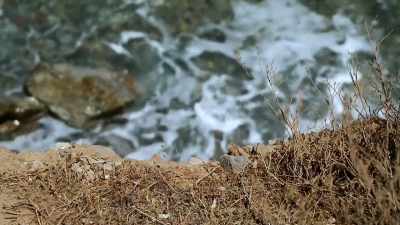 The coastline here
is full of evidence. - Raiders of the Lost Past with Janina Ramirez