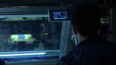 THE COLD MUST SLOW THEM DOWN. - The 100
