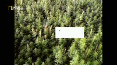 The Cold War brought
a conscious fear, - America's War on Drugs